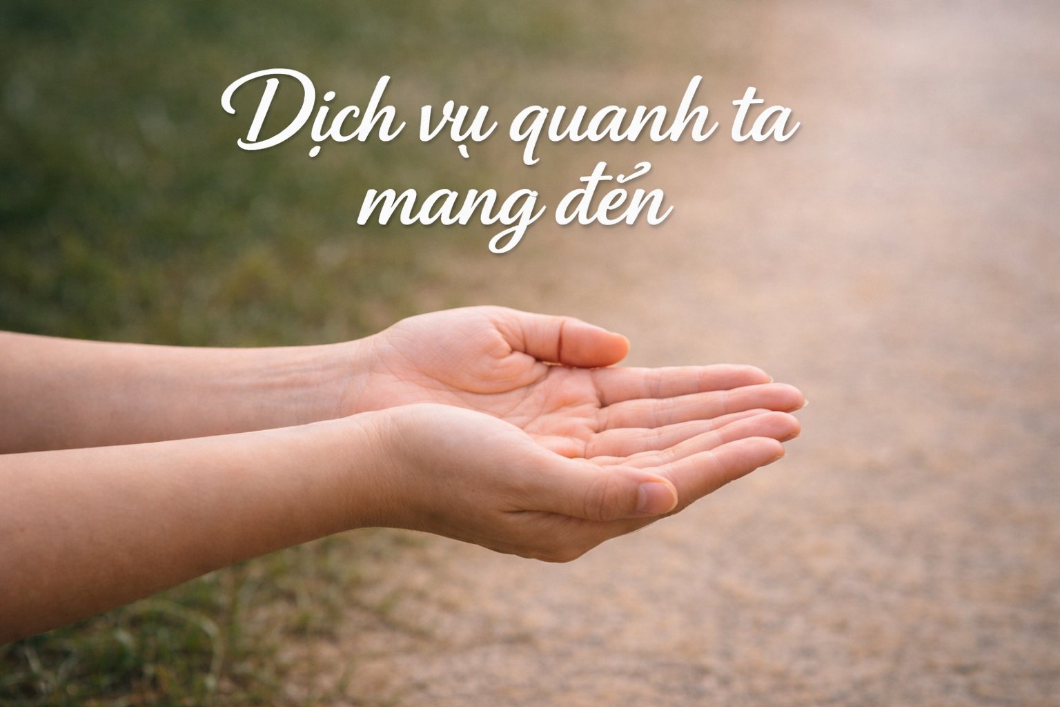 Dịch Vụ Quanh Ta mang đến